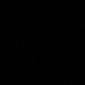 Meet your Posher, Lilly